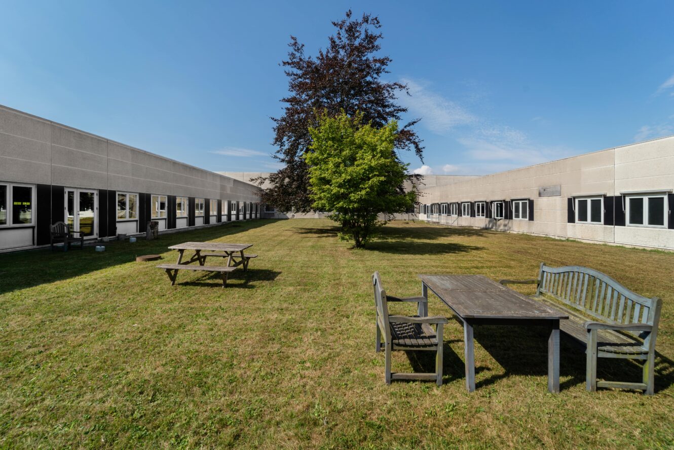 Rektangulær græsklædt gårdsplads mellem to bygninger med picnicborde, bænke, træstole og et træ i midten under en klar blå himmel.