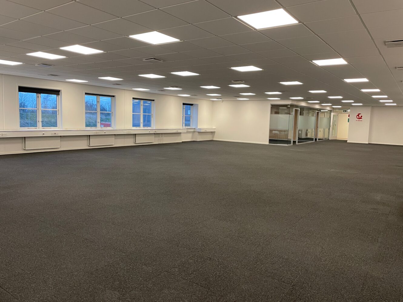 Et rummeligt, tomt kontorlokale med lysstofrør, gulvtæppe, store vinduer på den ene side og glasvægge langs bagvæggen.