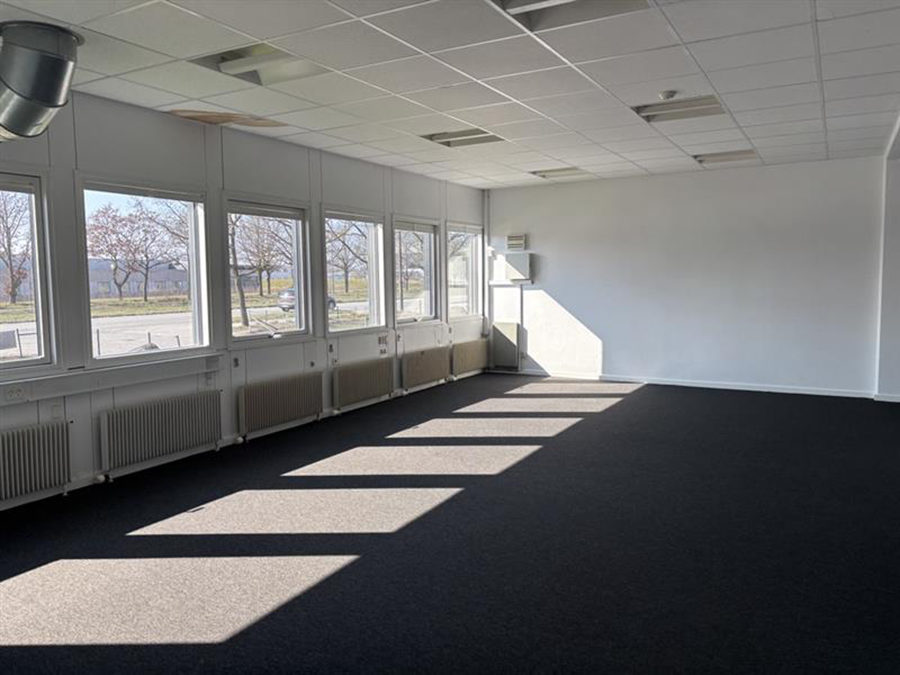 Tomt kontorlokale med hvide vægge, gråt gulvtæppe, store vinduer i den ene side og sollys, der kaster skygger hen over gulvet.