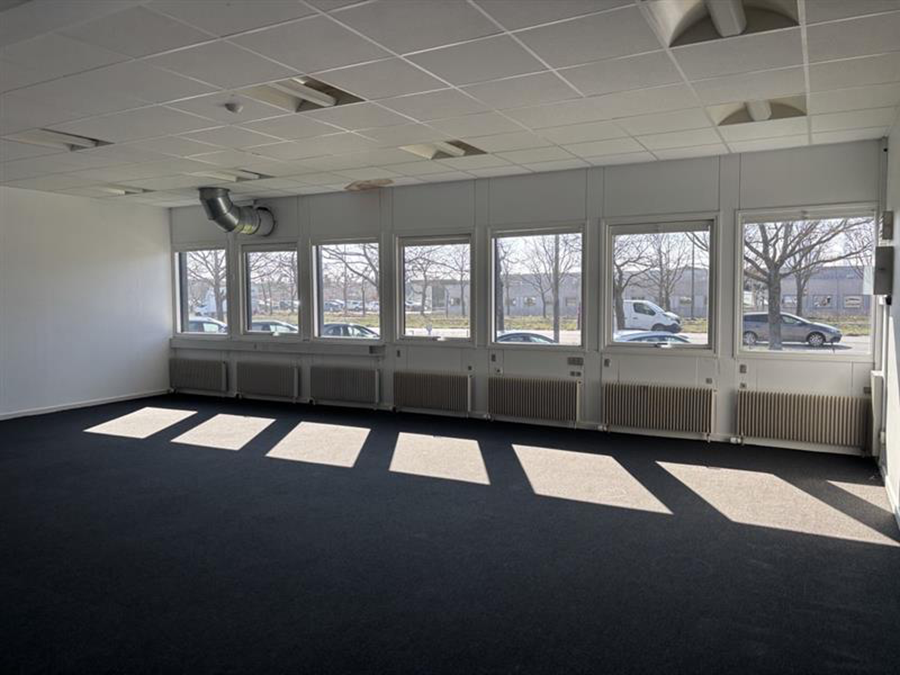 Tomt kontorlokale med store vinduer, gulvtæppe, radiatorer under vinduerne og sollys, der kaster skygger fra vinduesrammerne. Biler og træer er synlige udenfor.