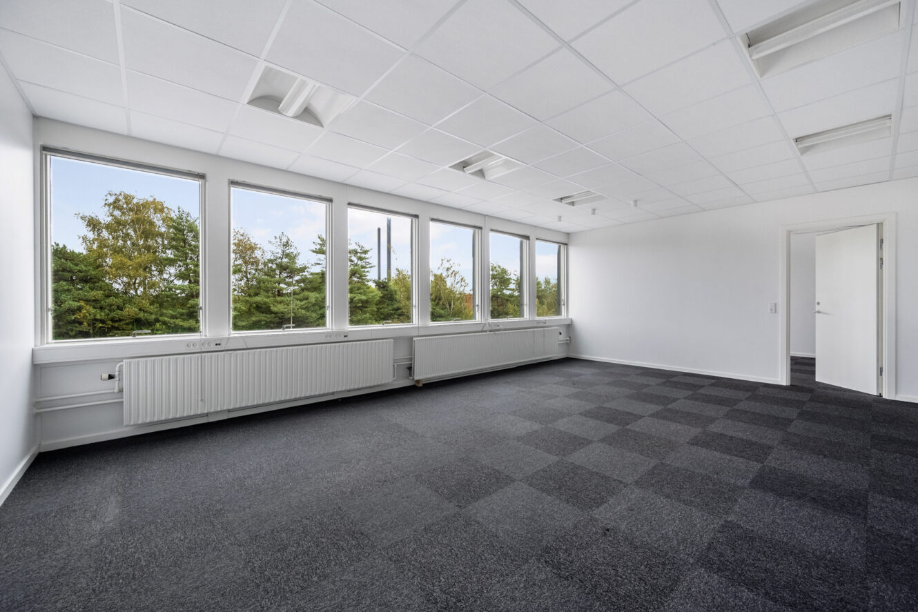 Tomt kontorlokale med store vinduer, hvide vægge, et ternet mørkt tæppe, radiatorer under vinduerne og en dør i højre side. Træer er synlige udenfor.