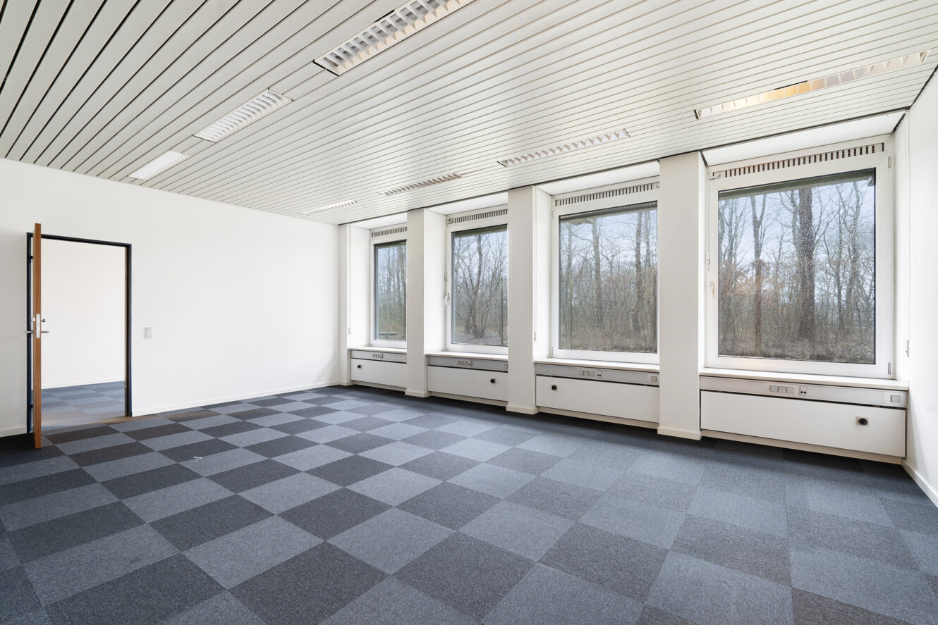 Tomt kontorlokale med ternet gråt gulvtæppe, hvide vægge, store vinduer og en åben dør; man kan se træer udenfor.