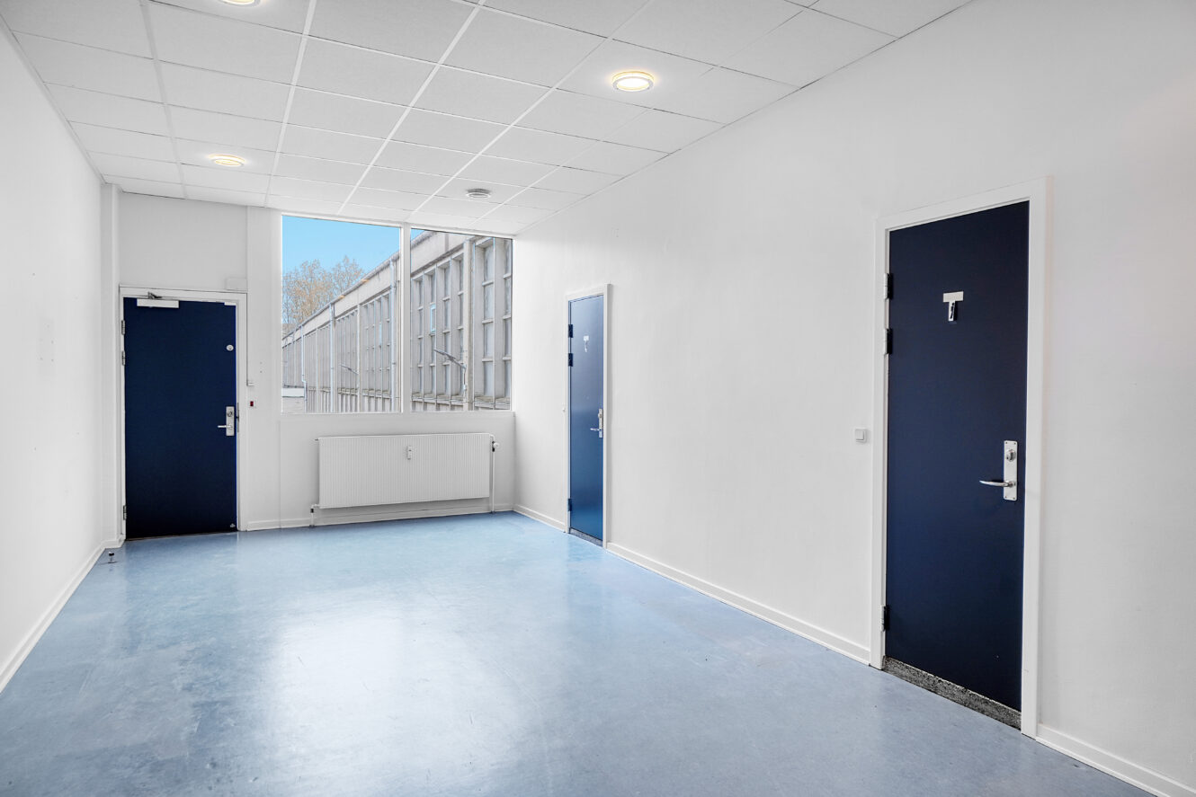 En ren, tom korridor med blå døre, hvide vægge, et stort vindue og lys i loftet.