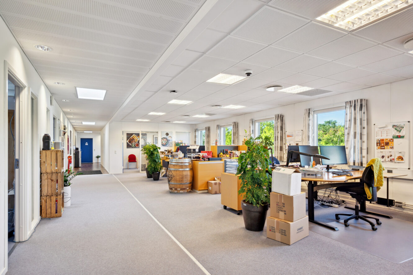 Åbent kontorlandskab med skriveborde, computere, potteplanter, kasser og store vinduer; gangen løber langs venstre side med flere døre langs væggen.