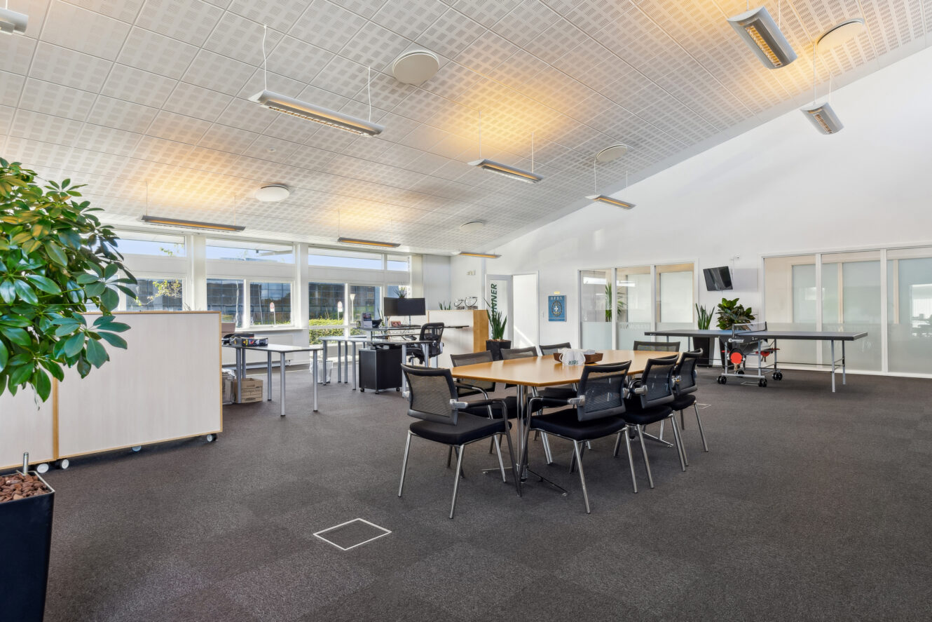 Moderne storrumskontor med skriveborde, stole, mødebord, computerstationer, store vinduer, planter og bordtennisbord på et tæppebelagt gulv under et lyst loft.