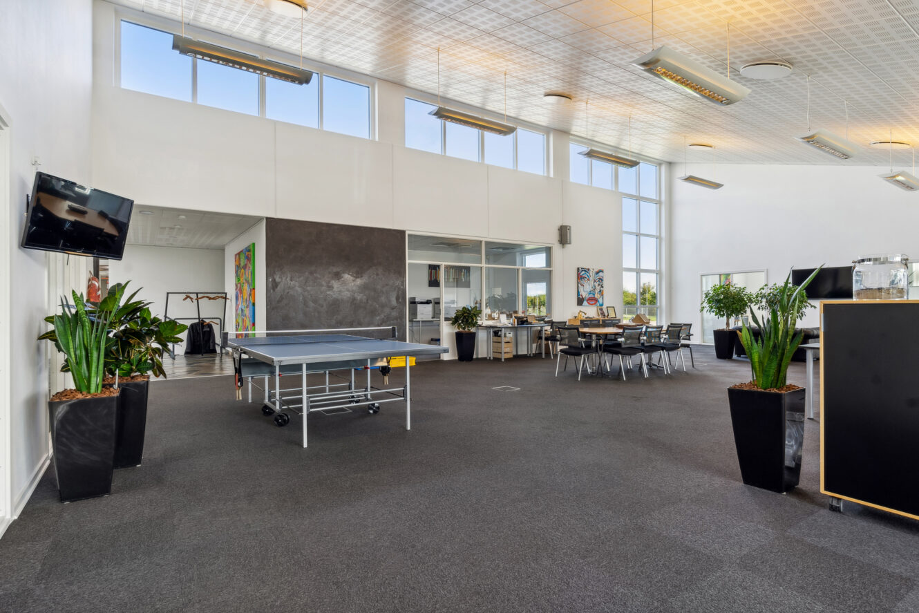 Rummelig, moderne kontorlounge med bordtennisbord, flere planter, et væghængt tv og et mødeområde med stole og borde ved store vinduer.