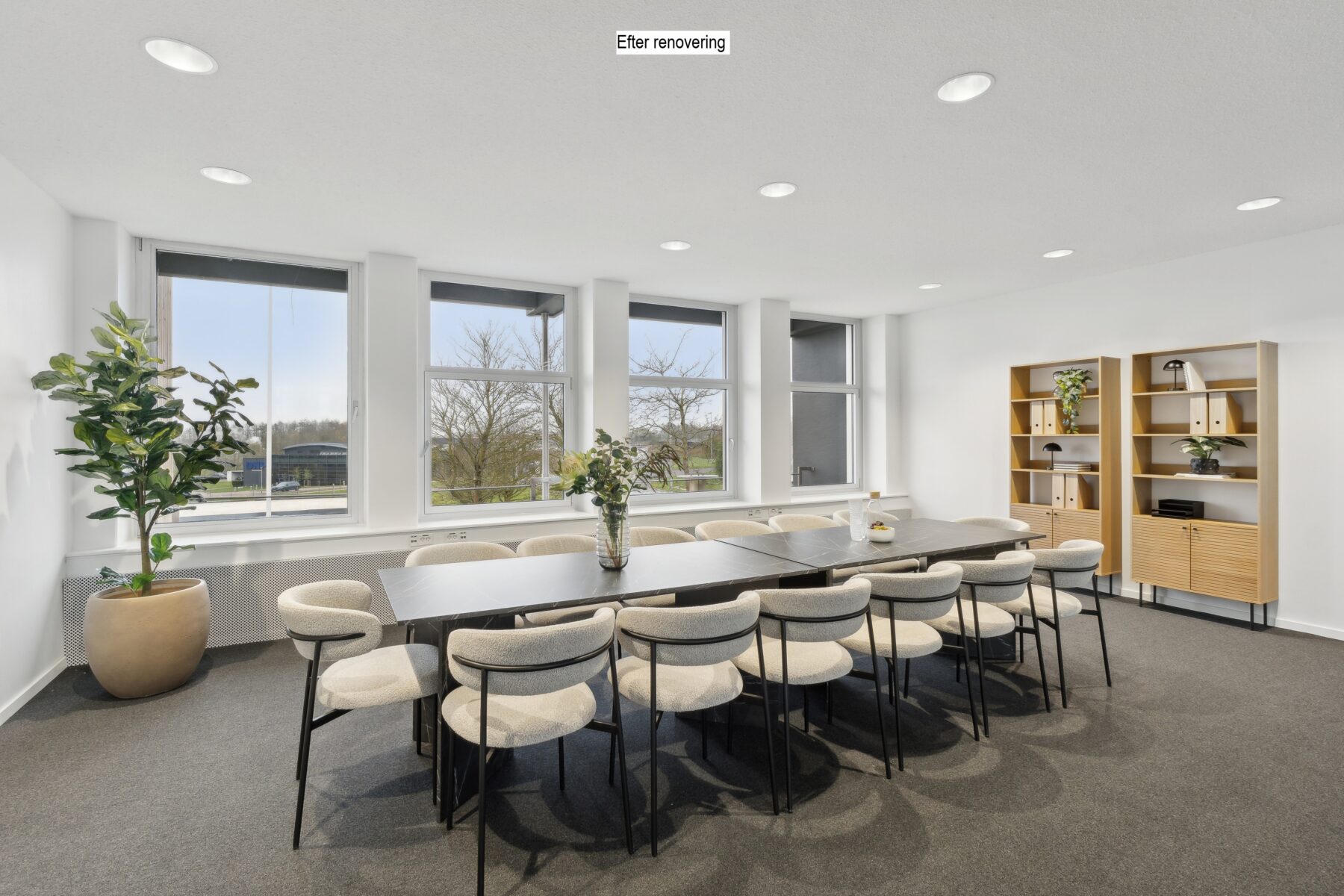 Et moderne konferencelokale med et langt bord, tolv stole, store vinduer, potteplanter og hylder med indretning og opbevaring.