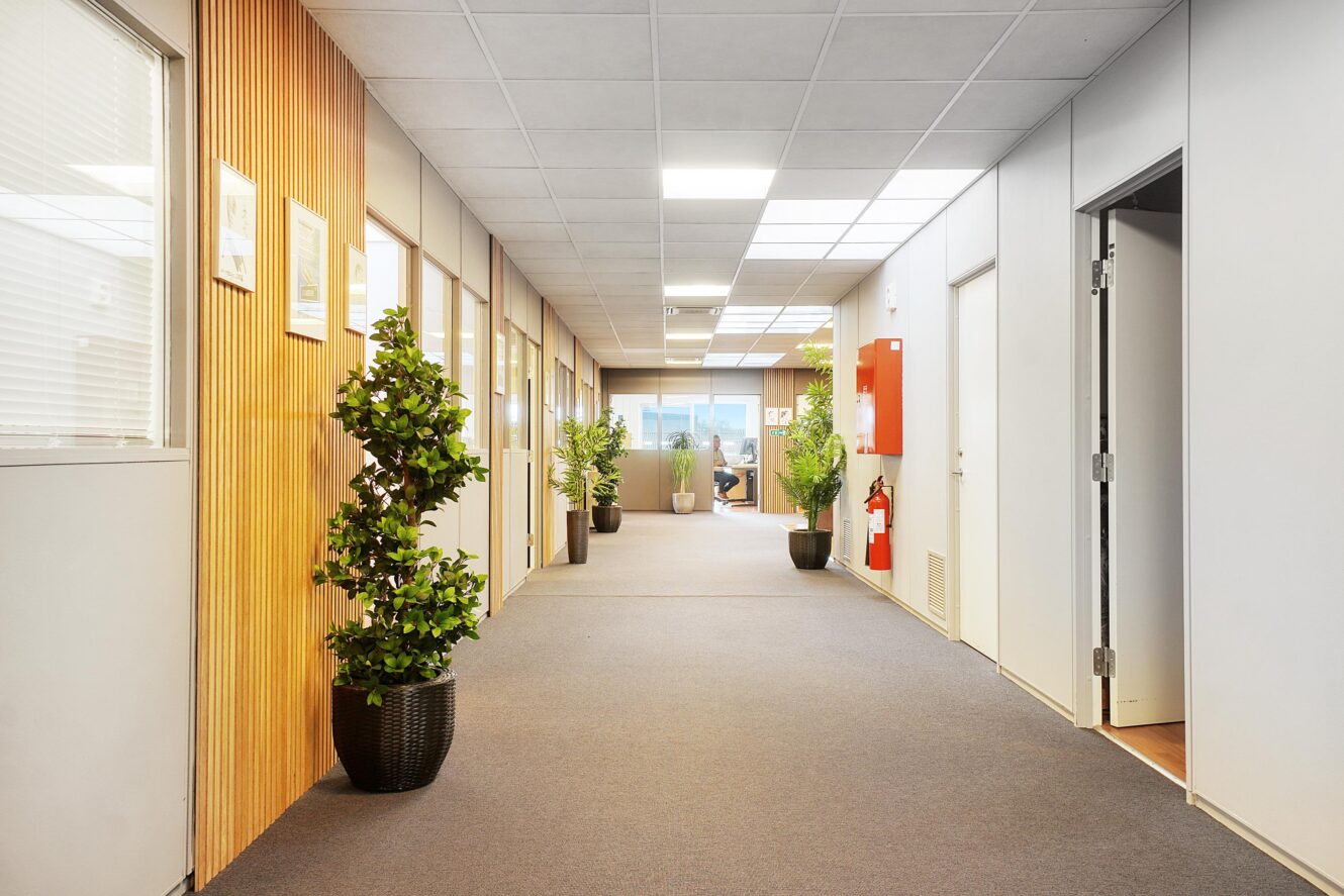 En moderne kontorgang med gulvtæppe, potteplanter, træpaneler til venstre og døre, der fører til forskellige rum. Et kontorområde er synligt for enden af gangen.