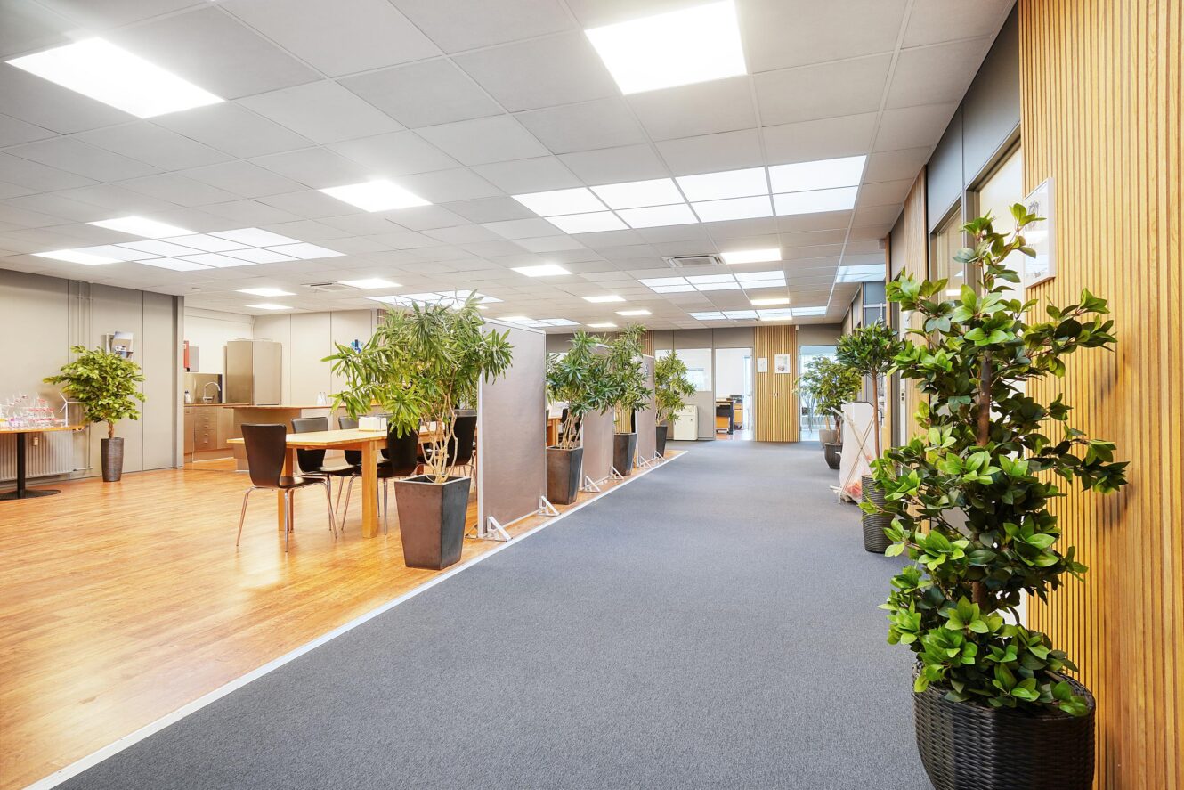 Moderne kontorgang med potteplanter, trægulv til venstre, gulvtæppe til højre og borde og stole i baggrunden under kraftige loftslamper.