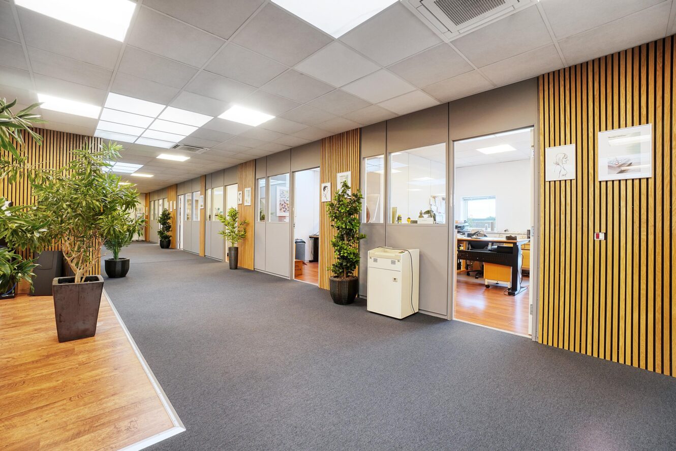 Moderne kontorgang med lamelvægge af træ, flere potteplanter, kontordøre af glas og indrammede kunstværker på væggene.