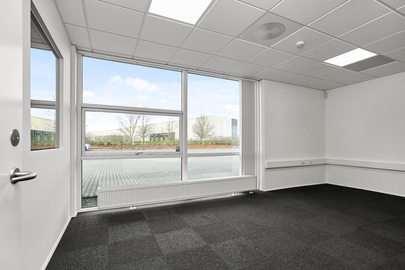 Et tomt kontorlokale med hvide vægge, et stort vindue med udsigt til et asfalteret område og træer, et gråt gulvtæppe og et nedhængt loft med lys.