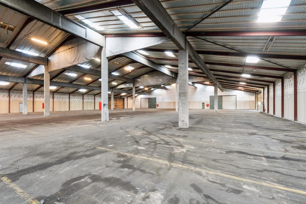 Rummelig, tom industriel lagerbygning med højt til loftet, synlige bjælker, betongulve og store ovenlys.