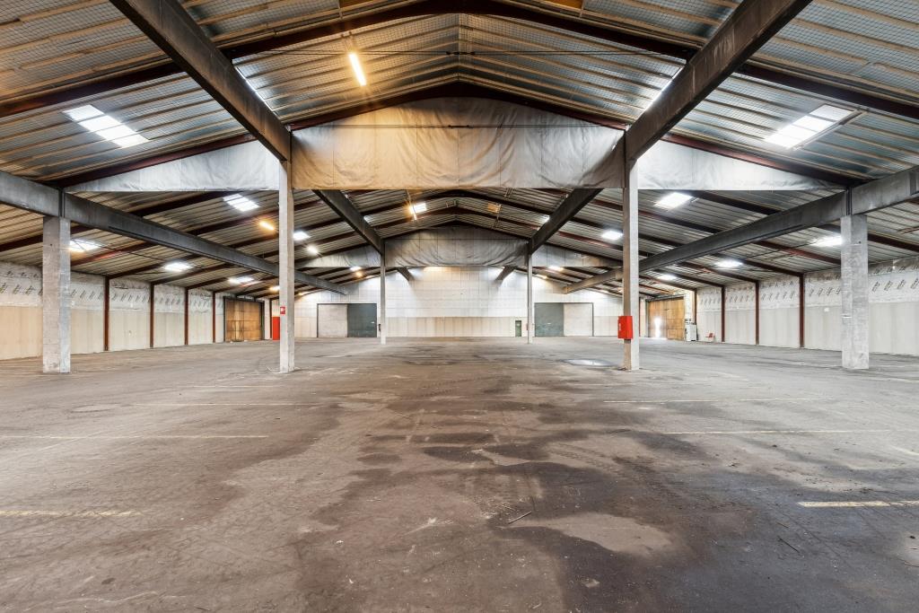 Stor tom lagerhal med højt til loftet, synlige bjælker, betongulv, naturligt lys fra tagpaneler og røde brandslukkere på søjler.