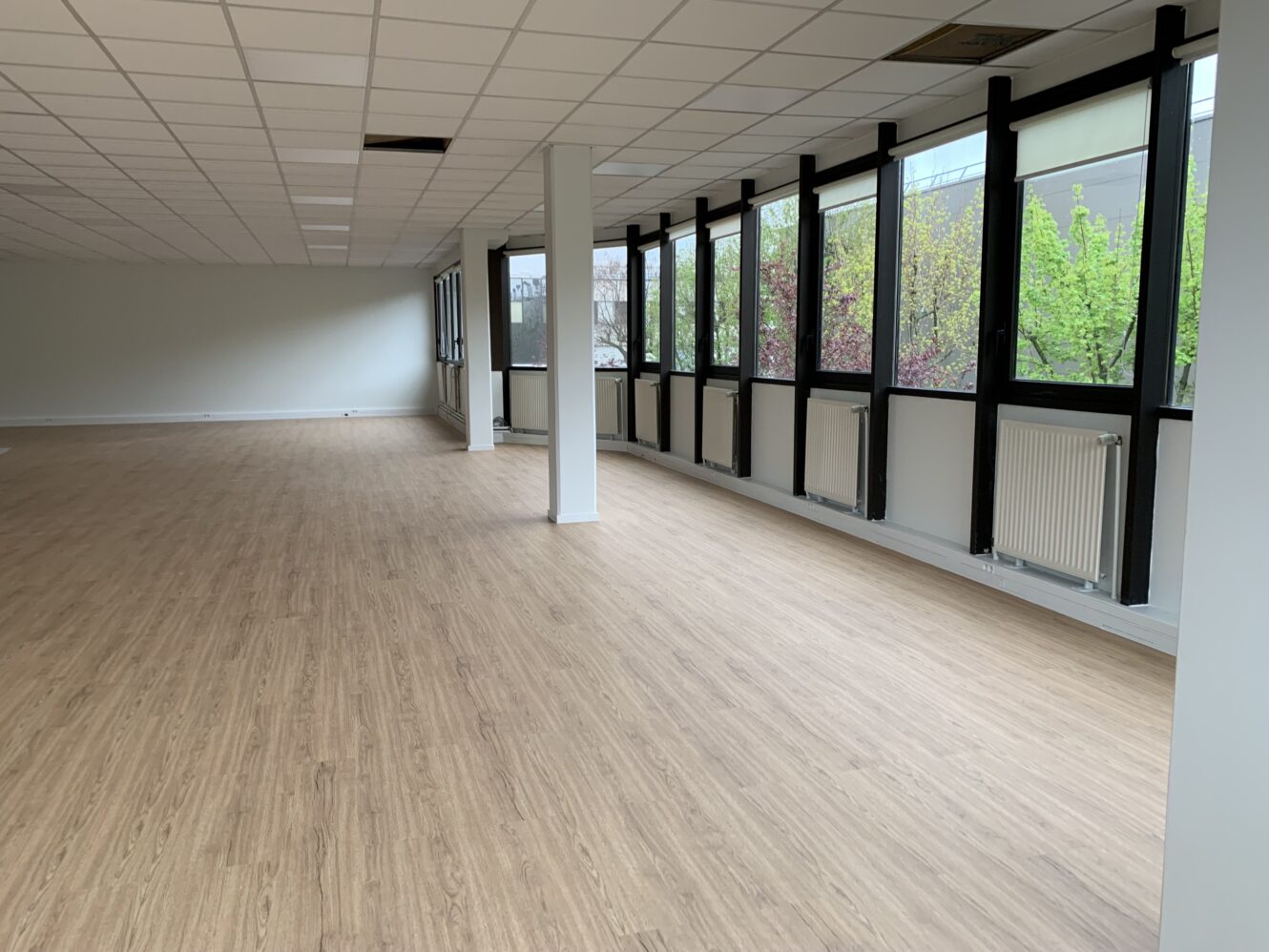 Espace de bureau vide avec un sol en bois clair, des murs blancs, des dalles de plafond et de grandes fenêtres le long d'un côté pour laisser entrer la lumière naturelle.