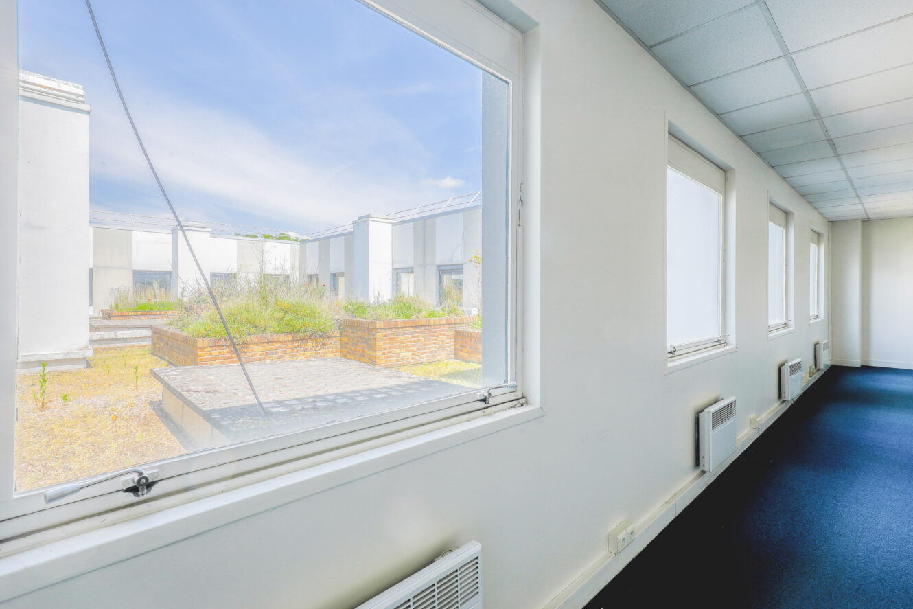 Une vue à travers de grandes fenêtres sur une cour ensoleillée avec des plates-bandes surélevées, vue depuis un couloir vide et lumineux avec une moquette bleue et des murs blancs.