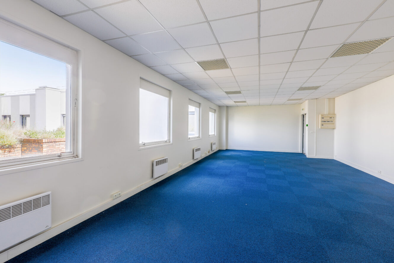Bureau vide avec une moquette bleue, des murs blancs, de grandes fenêtres d'un côté et un plafond suspendu avec un éclairage fluorescent.