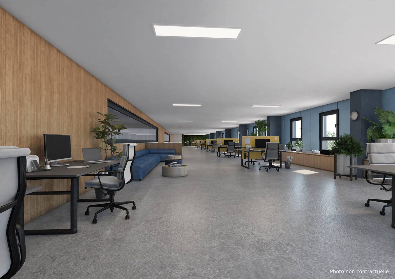 Bureau moderne à aire ouverte avec des bureaux, des chaises, des ordinateurs, des canapés bleus, des plantes et de grandes fenêtres offrant une lumière naturelle. Le sol est en béton et les murs sont en bois et bleus.