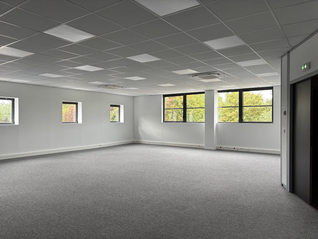 Bureau vide avec une moquette grise, des murs blancs et un plafond avec des lampes fluorescentes. Plusieurs fenêtres offrent une lumière naturelle et une vue sur les arbres à l'extérieur.