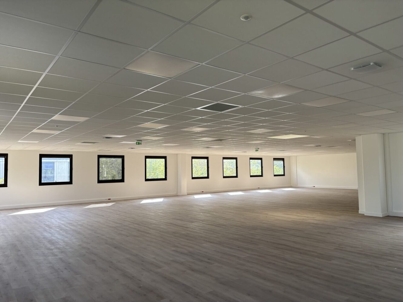 Un bureau spacieux et vide avec des planchers en bois clair, des murs blancs, un plafond en grille et plusieurs fenêtres qui apportent de la lumière naturelle.