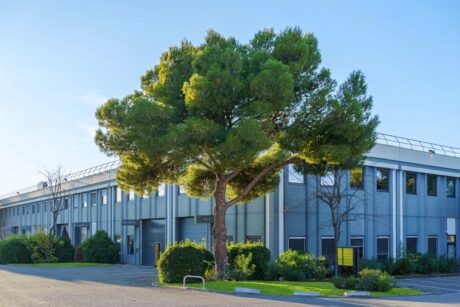 Un grand arbre se dresse devant un bâtiment industriel moderne et gris, doté de nombreuses fenêtres, entouré d'arbustes par temps clair.