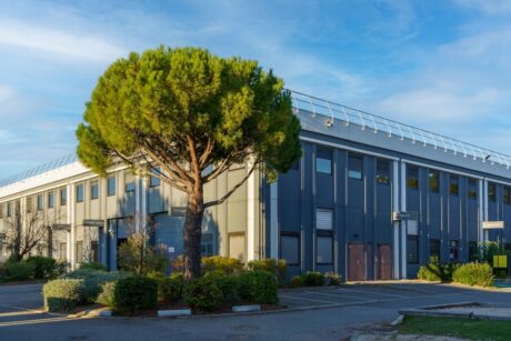 Par temps clair, un grand pin se dresse devant un bâtiment industriel moderne de deux étages, aux murs gris et aux nombreuses fenêtres.