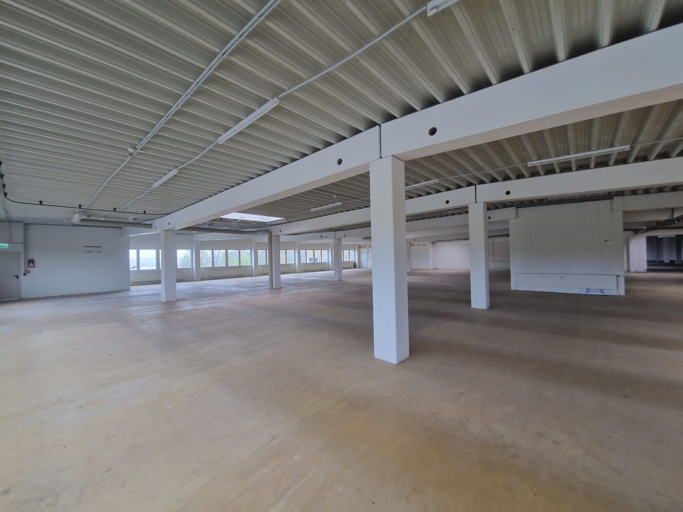 Geräumiges, leerstehendes Industriegebäude mit Betonboden, weißen Stützpfeilern, freiliegender Decke und großen Fenstern, die viel Tageslicht hereinlassen.