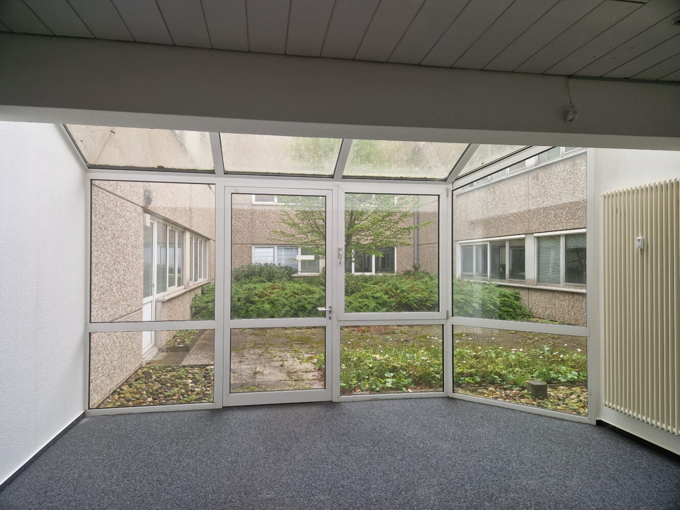 Ein verglaster Raum mit einer Tür und Fenstern blickt auf einen kleinen, überwucherten Hof, der von einem Betongebäude umgeben ist.