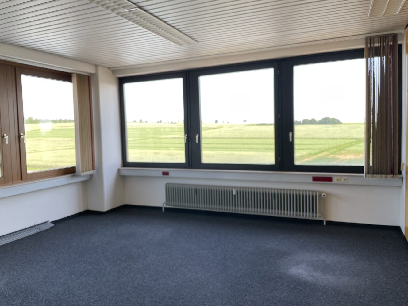 Ein leerer Büroraum mit blauem Teppich, großen Fenstern, die grüne Felder zeigen, weißen Wänden und einem Heizkörper unter den Fenstern.