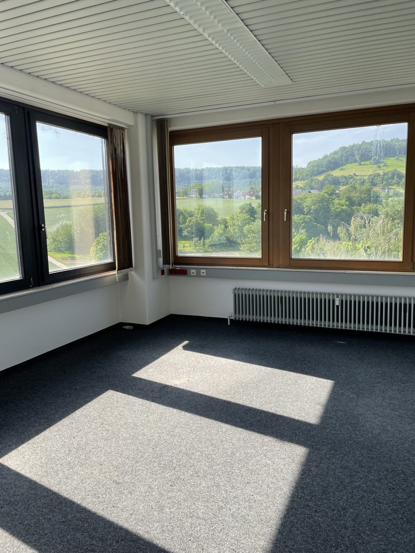 Ein leerer Raum mit großen Fenstern, die das Sonnenlicht hereinlassen, grauem Teppichboden, weißen Wänden und einem Blick auf grüne Hügel und Bäume draußen.