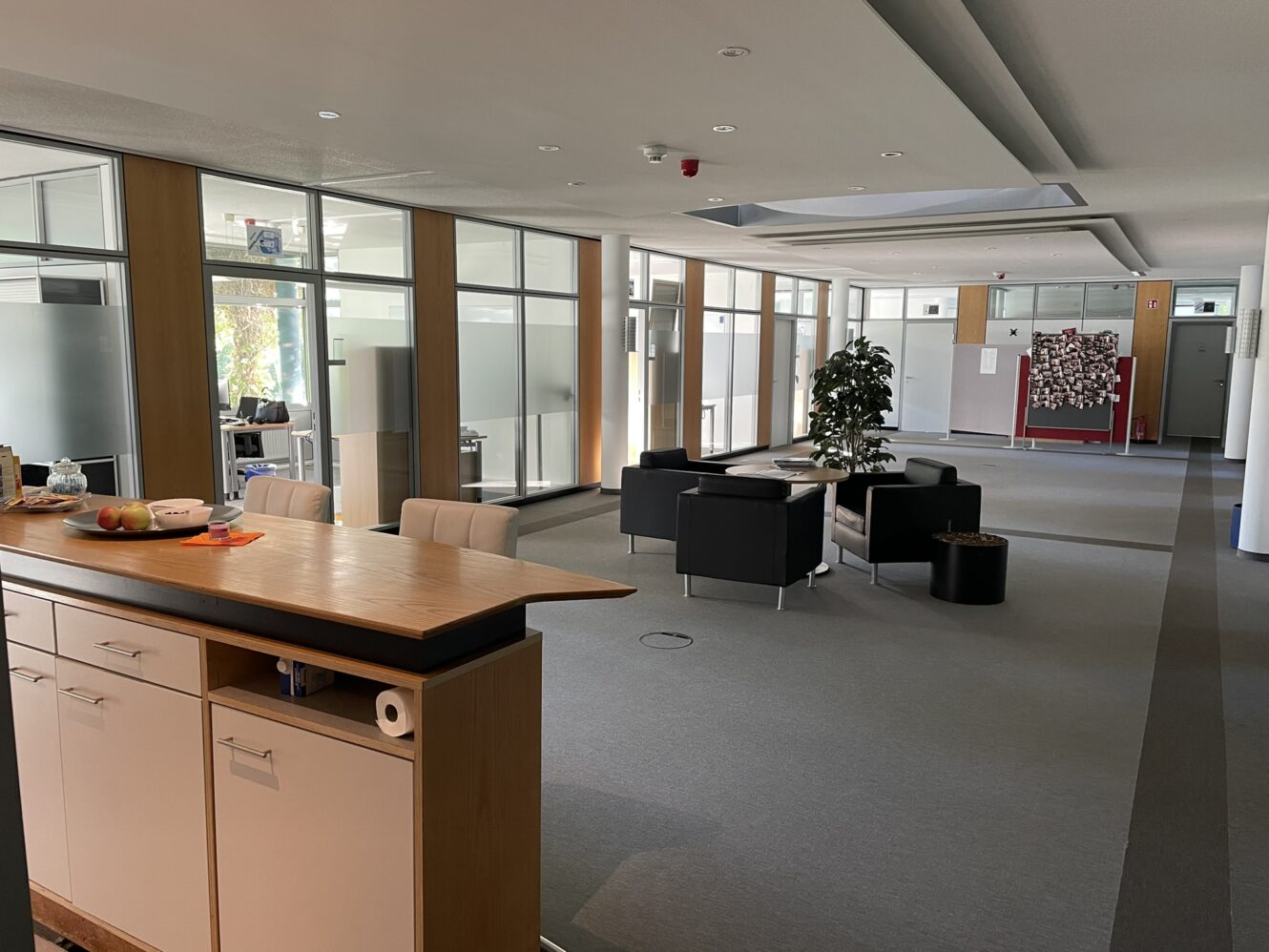 Moderner Büroraum mit einer Küchenzeile, einem Loungebereich mit schwarzen Stühlen, Zimmerpflanzen und Trennwänden aus Milchglas.