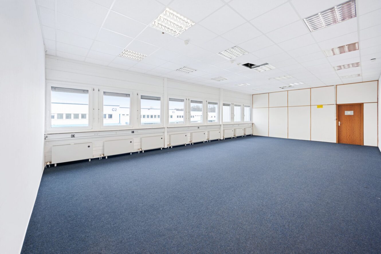 Geräumiger, leerer Büroraum mit blauem Teppich, weißen Wänden, Deckenleuchten, mehreren Fenstern und einer Holztür; es fehlen einige Deckenplatten.