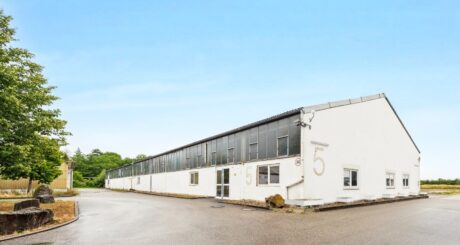 Ein langgestrecktes, weißes Industrielager mit großen Fenstern und der Nummer 5 auf der Vorderseite, das an einer gepflasterten Straße unter strahlend blauem Himmel liegt.