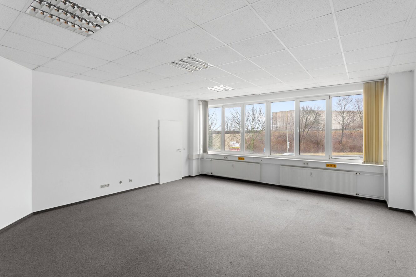 Leerer Büroraum mit grauem Teppich, weißen Wänden, großen Fenstern und fluoreszierenden Deckenleuchten. Durch die Fenster sind draußen Bäume und ein Gebäude zu sehen.