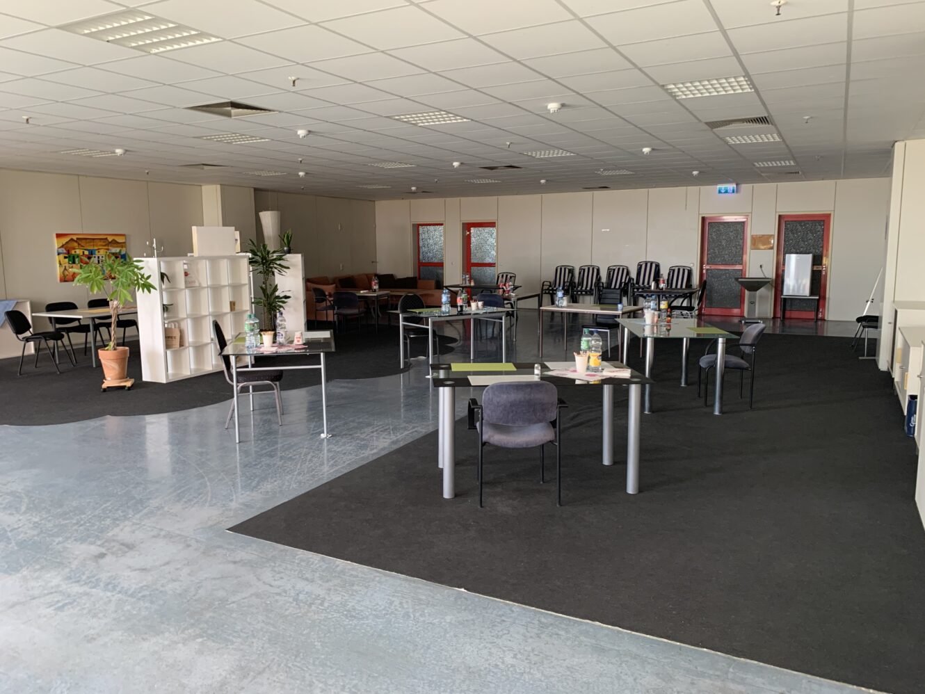 Geräumiger Bürobereich mit mehreren Schreibtischen und Stühlen, verstreutem Büromaterial, einigen Pflanzen und einem Regal, durch dessen Fenster natürliches Licht fällt.