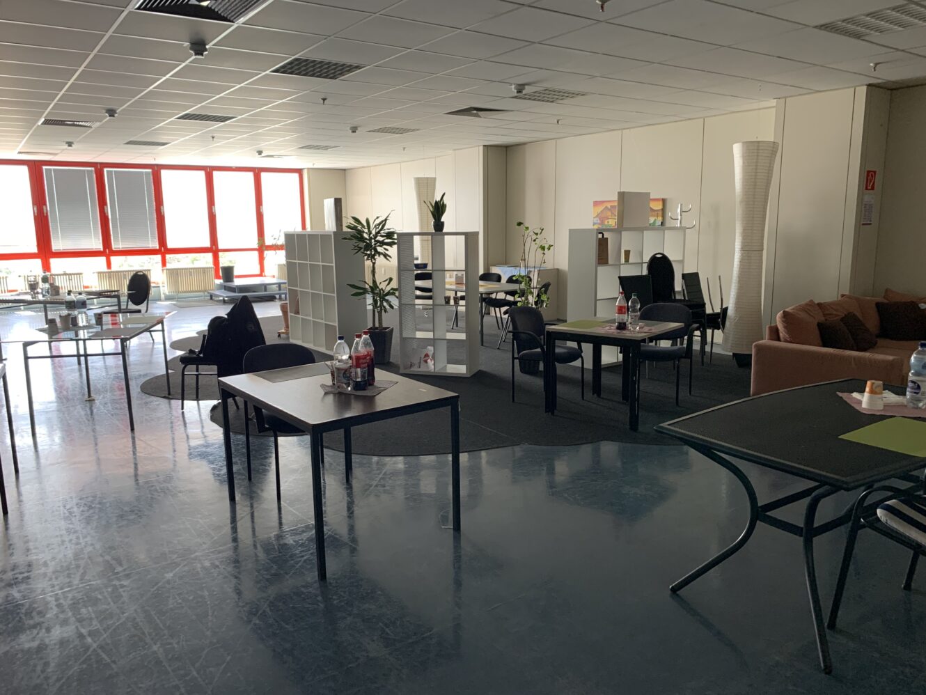 Ein geräumiger Büroraum mit Schreibtischen und Stühlen, einem Sofa, Regalen, Zimmerpflanzen und großen Fenstern, die viel Tageslicht hereinlassen.