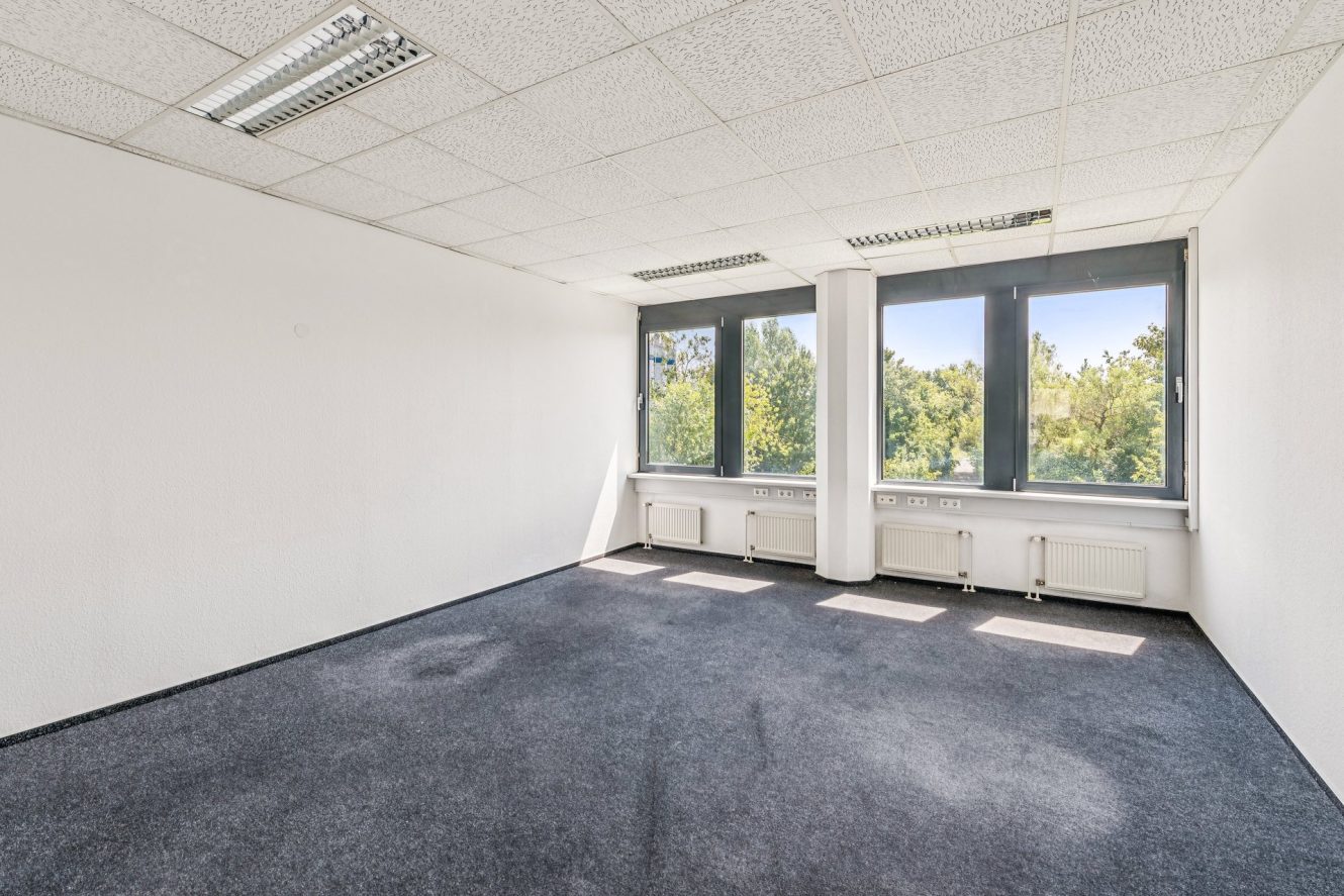 Ein leerer Büroraum mit weißen Wänden, grauem Teppichboden, drei großen Fenstern und an der Decke montierten Leuchtstoffröhren. Sonnenlicht strömt durch die Fenster und lässt die Bäume draußen erkennen.