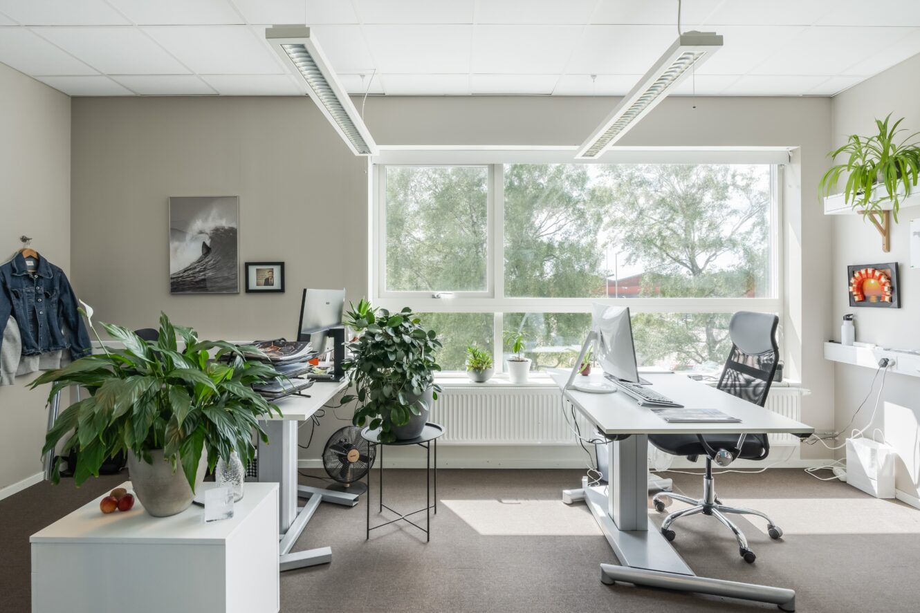 Modernt kontor med två skrivbord, ergonomiska stolar, stort fönster, flera växter, datorer och neutral inredning. Naturligt ljus fyller rummet.