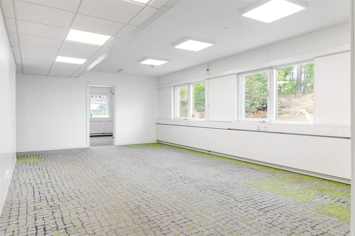 Ett tomt, starkt upplyst kontorsrum med vita väggar, stora fönster och en grå matta med gröna fläckar. Träd syns utanför fönstren.