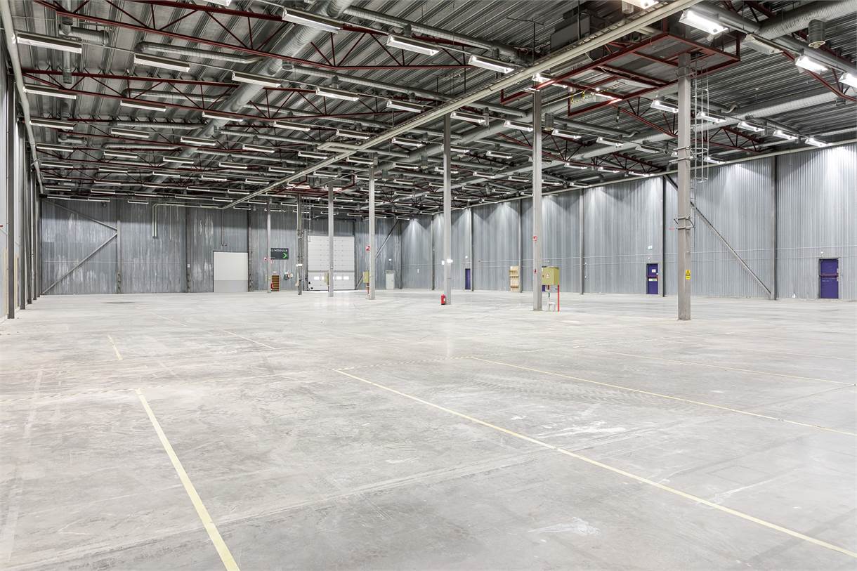 Stort, tomt industrilager med betonggolv, högt metalltak, synliga bjälkar och flera pelare utspridda över hela den öppna interiören.