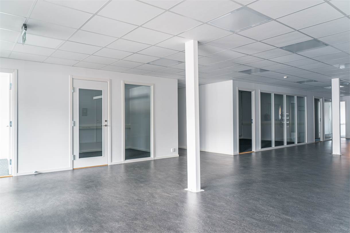 Tomt modernt kontorsutrymme med glasväggar, vita väggar, grått golv och ett rutmönstrat tak.