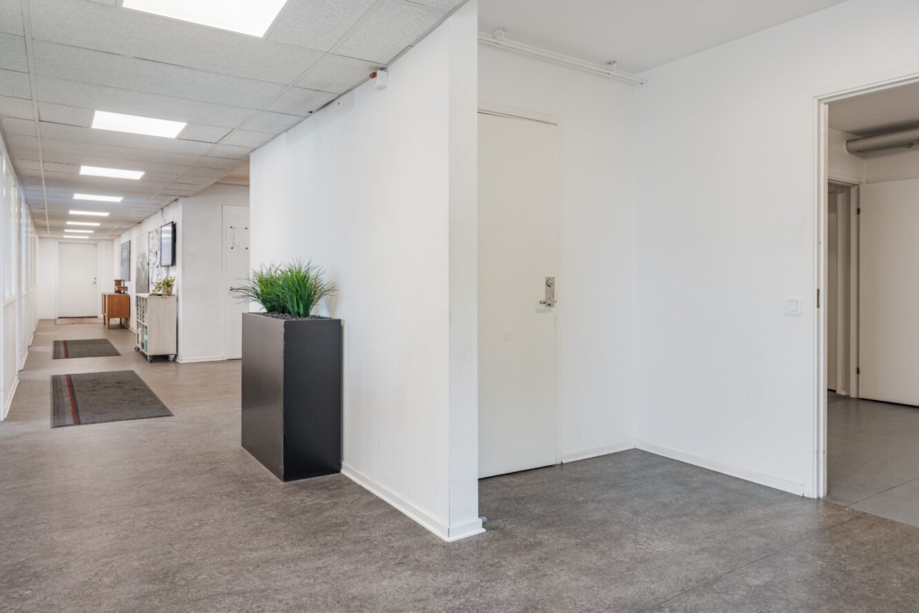 En ren, vit hall med grått golv, en stängd vit dörr, en svart kruka med gröna växter och öppna dörröppningar som leder till angränsande rum.