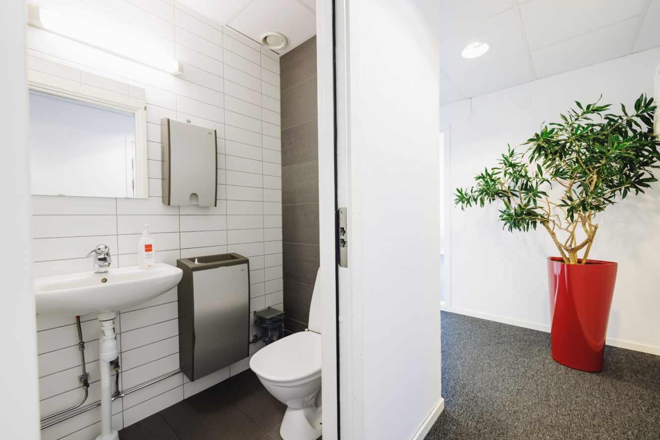 En liten toalett med handfat, spegel, tvålpump och toalett ligger i anslutning till en hall med en stor grön växt i en röd kruka.