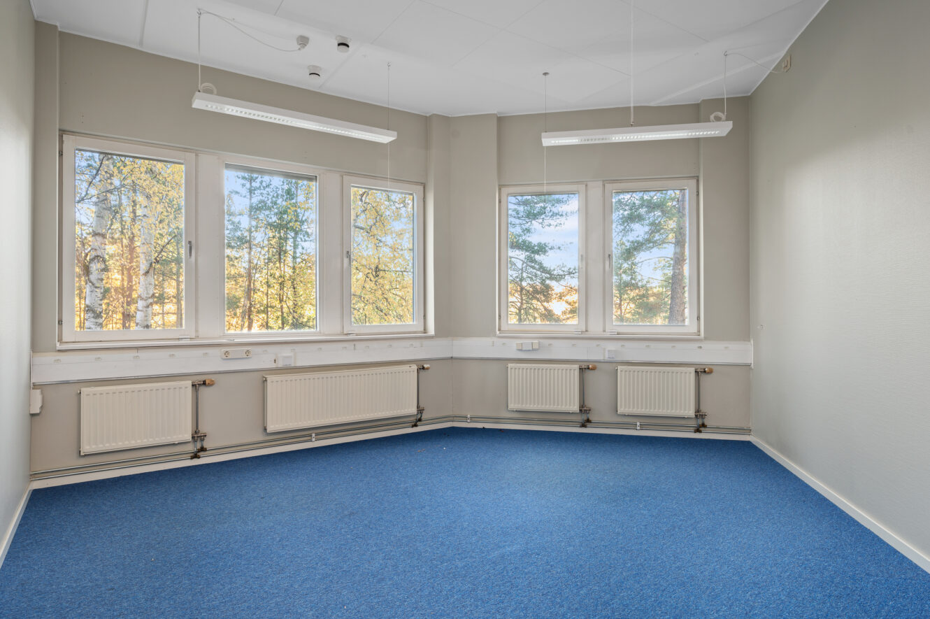 Tomt rum med blå matta, beige väggar, tre stora fönster, radiatorer under varje fönster och taklampor. Träd syns utanför fönstren.