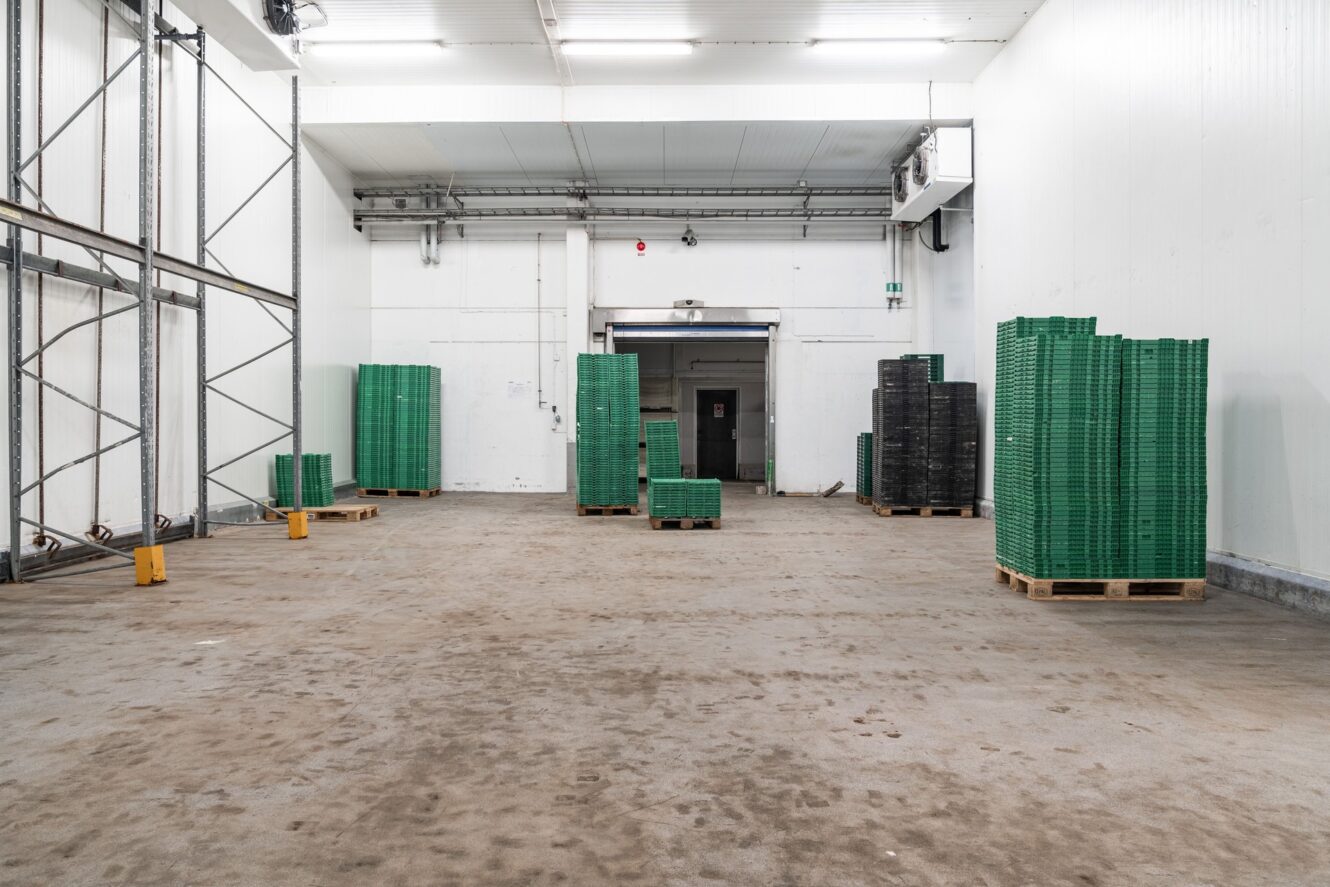 En stor, mestadels tom lagerlokal med gröna och svarta plastlådor staplade på träpallar mot väggarna och hyllor på vänster sida.