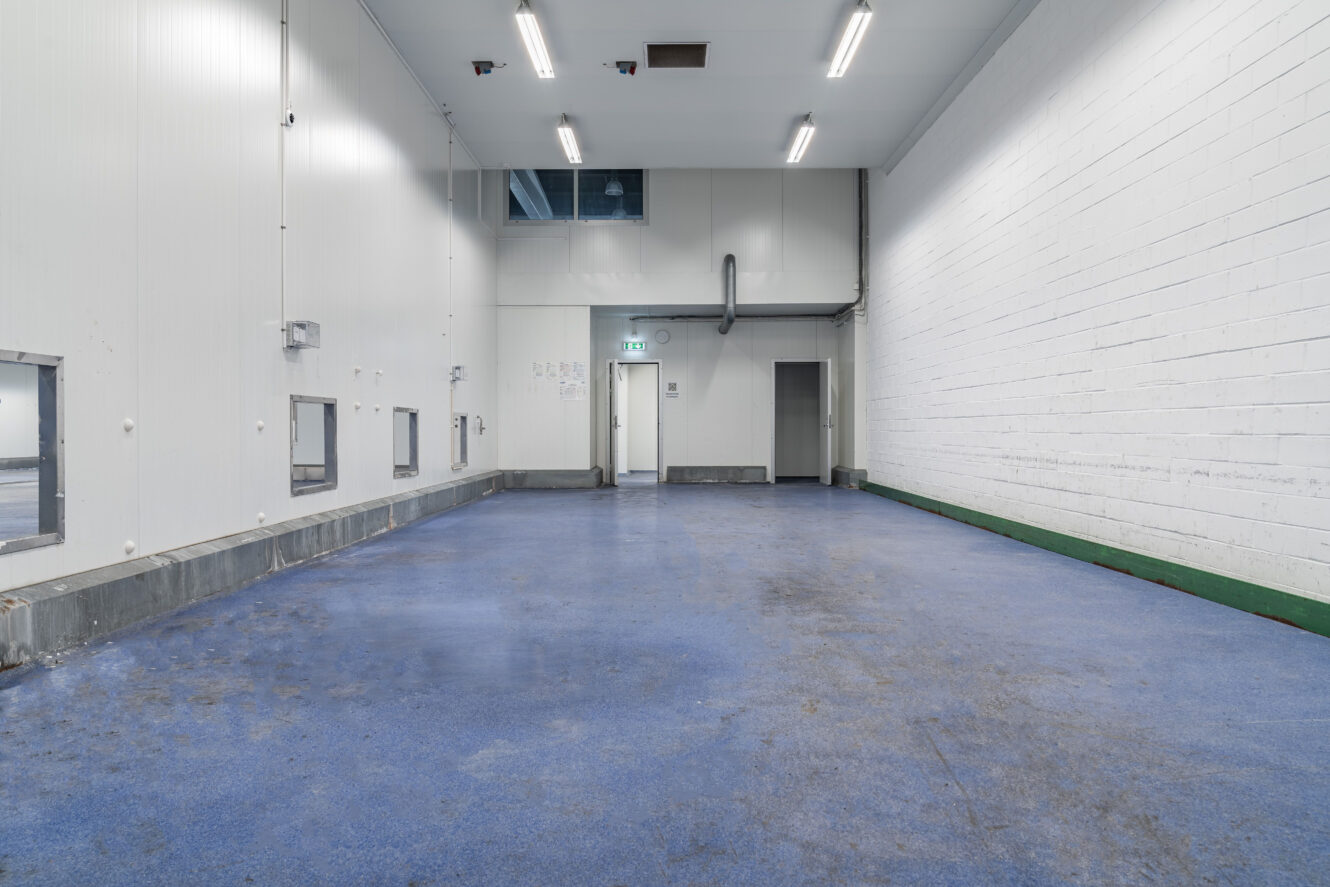 Ett tomt industrirum med vita väggar, blått golv, takbelysning, väggventiler och en dörr längst bort.