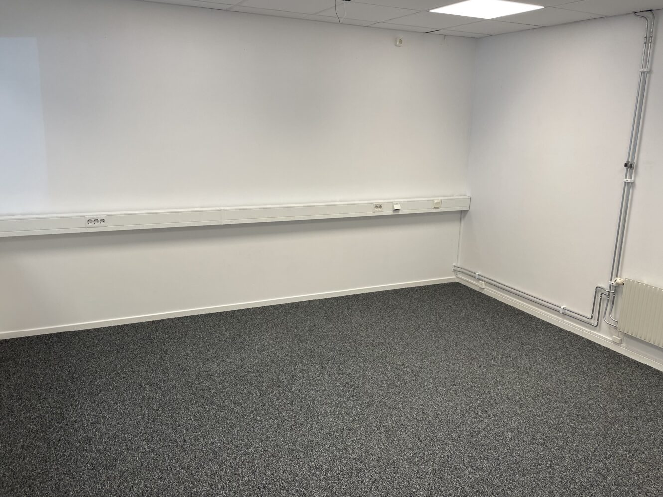 Ett tomt rum med grå heltäckningsmatta, vita väggar, eluttag längs ena väggen och taklampor.
