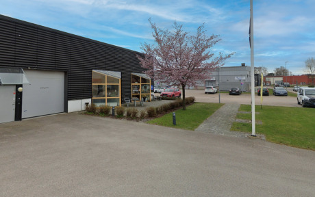 Envånings affärshus med stora fönster, ett körsbärsträd, parkerade bilar och en asfalterad gångväg en delvis molnig dag.